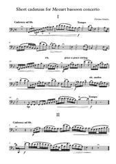Short cadenzas for Mozart bassoon concerto